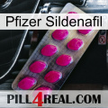 Pfizer Sildenafil 09